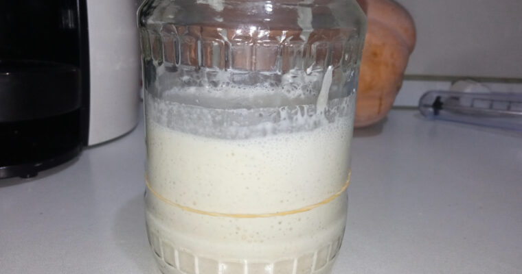 Sourdough Starter: My First Attempt at Capturing Wild Yeast