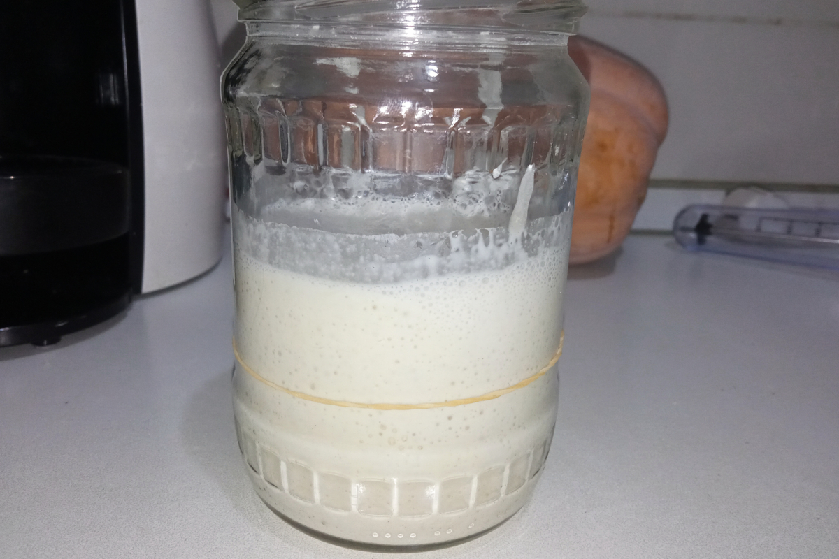 Sourdough Starter: My First Attempt at Capturing Wild Yeast