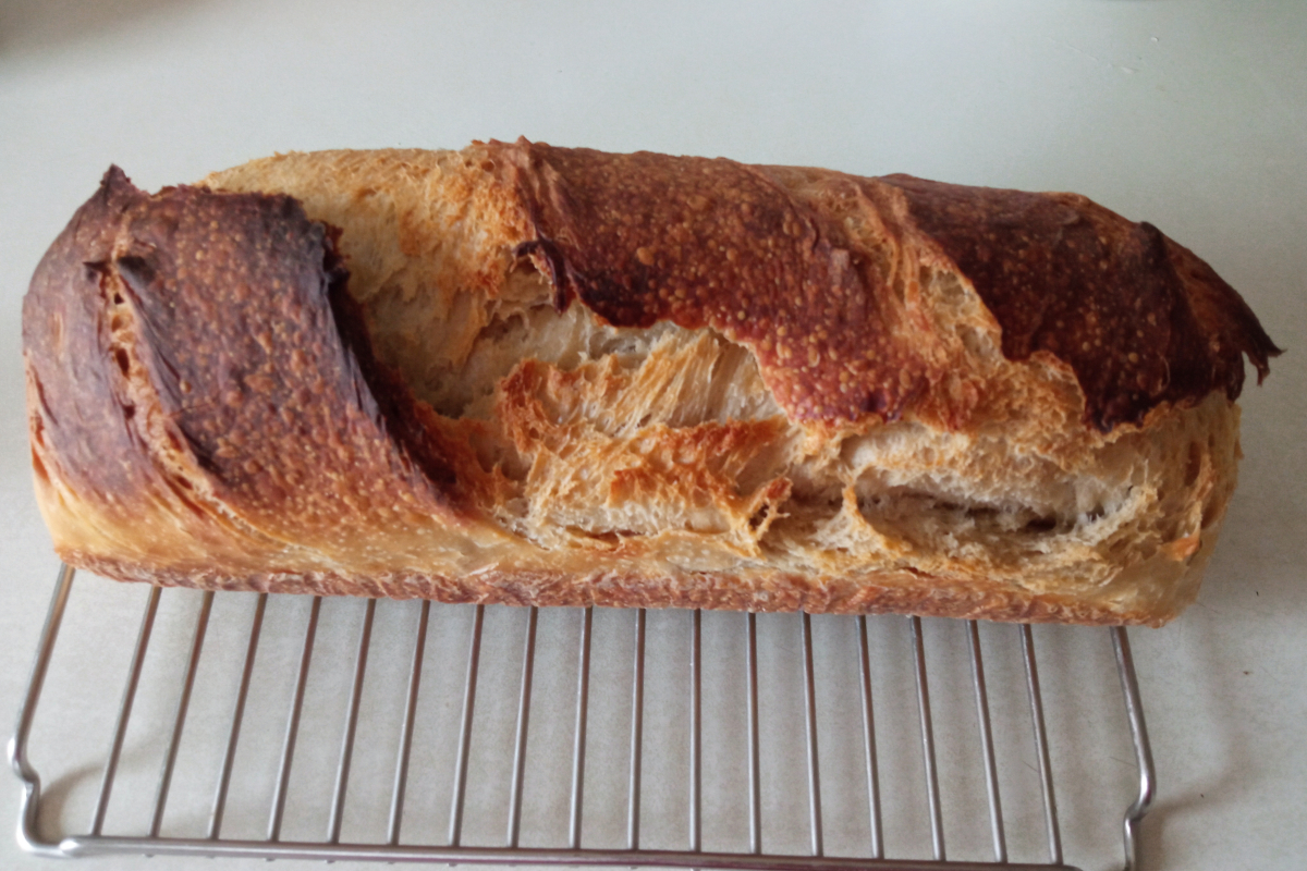 Beginner Sourdough Bread Experience: My First Loaf