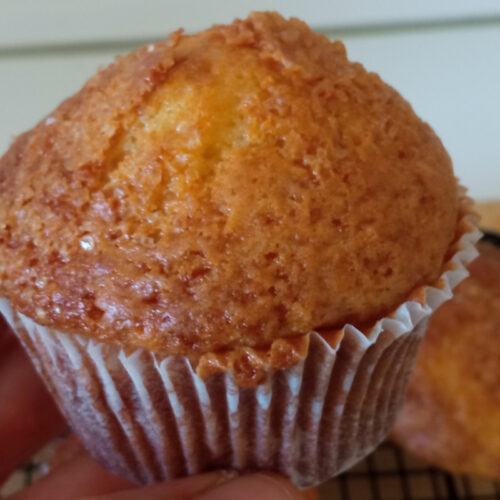 yogurt muffins recipe