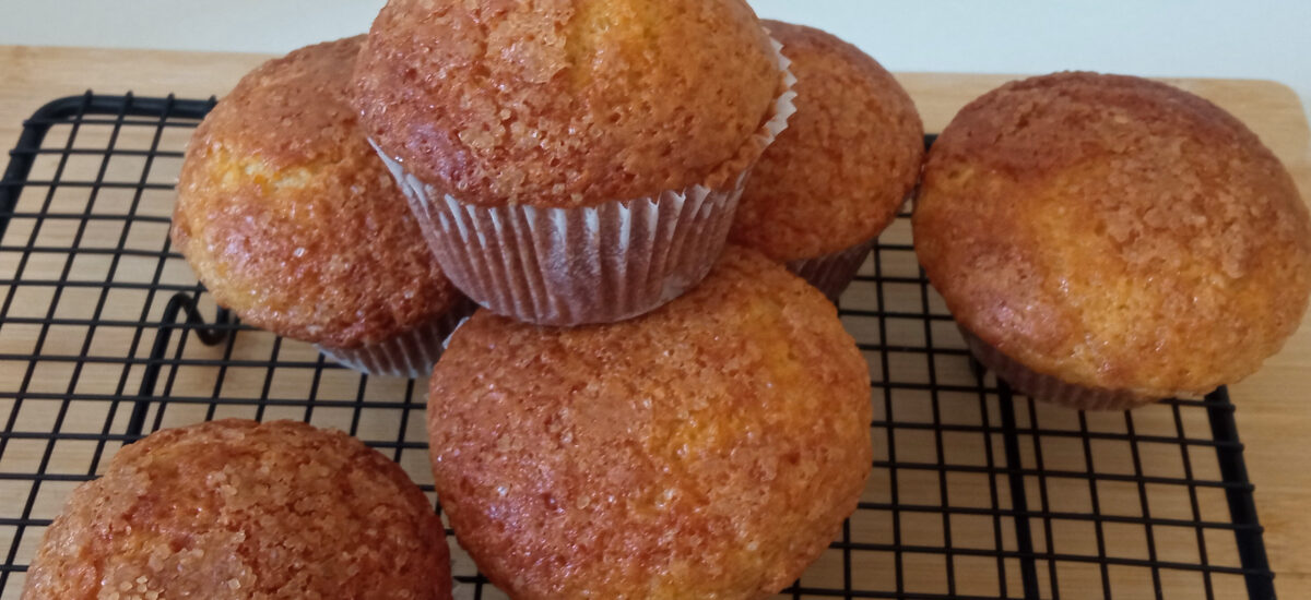 Yogurt Muffins: Soft, Moist, and Perfectly Simple
