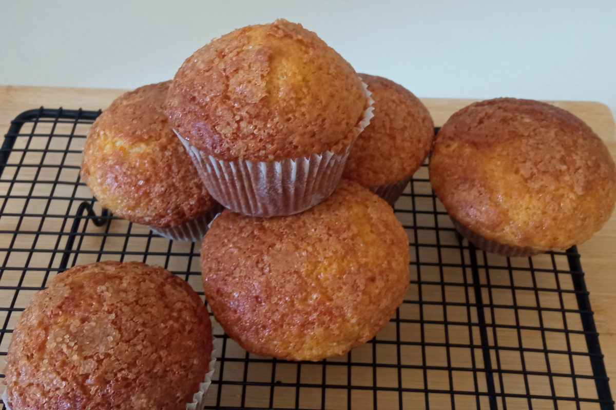 Yogurt Muffins: Soft, Moist, and Perfectly Simple